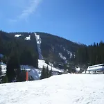 아파트 Haus Schneeberg Mit Hochkoenig Card Mühlbach am Hochkönig