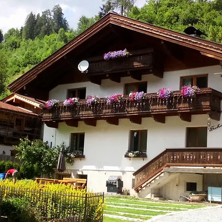 Lejlighed Haus Schneeberg Mit Hochkoenig Card Mühlbach am Hochkönig