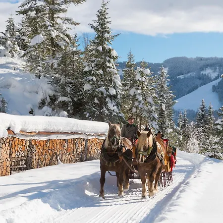 Haus Schneeberg Mit Hochkoenig Card *