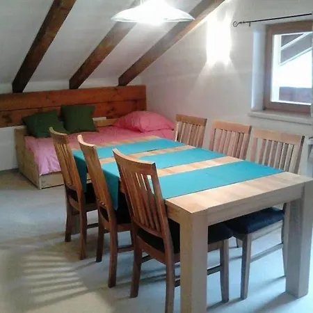 Haus Schneeberg Mit Hochkoenig Card Apartment Muhlbach Am Hochkonig