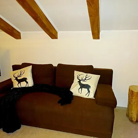 Haus Schneeberg Mit Hochkoenig Card Apartment *