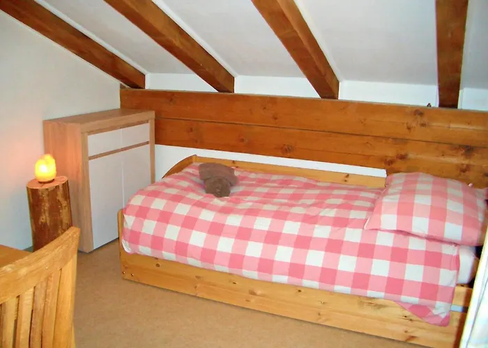 Daire Haus Schneeberg Mit Hochkoenig Card Mühlbach am Hochkönig