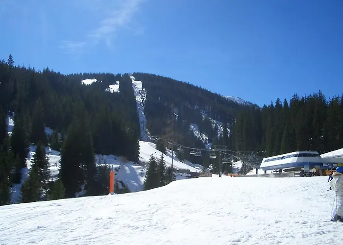 Daire Haus Schneeberg Mit Hochkoenig Card Mühlbach am Hochkönig