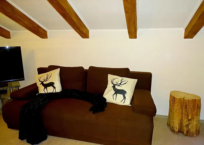 Haus Schneeberg Mit Hochkoenig Card Daire